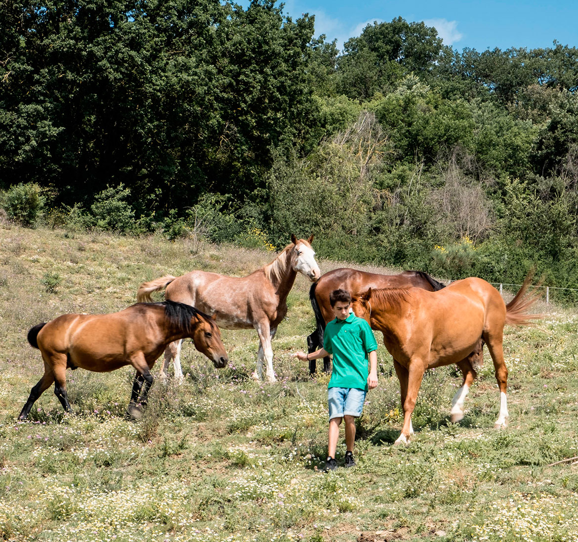 Il ranch Il ranch