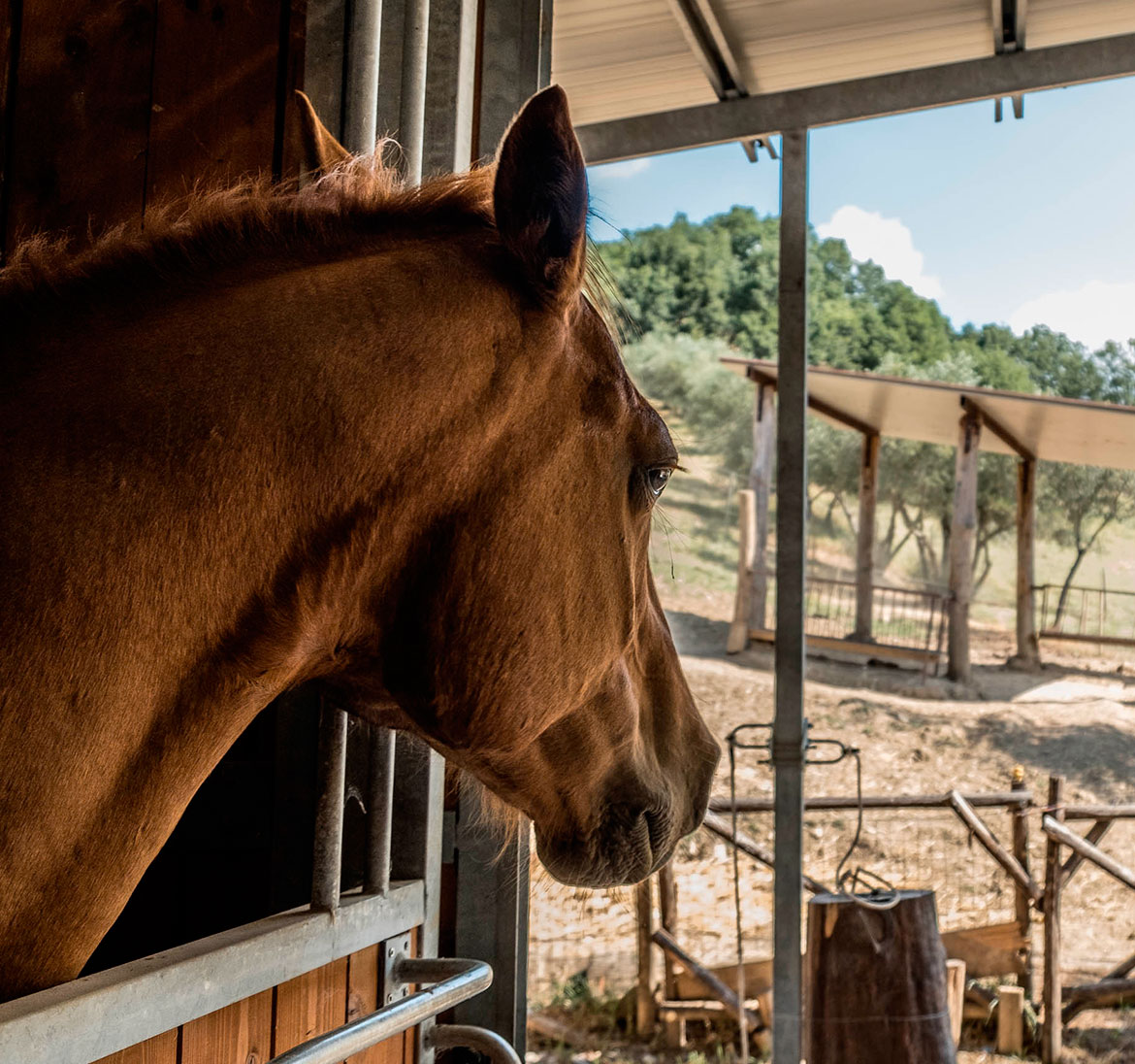 Il ranch Il ranch