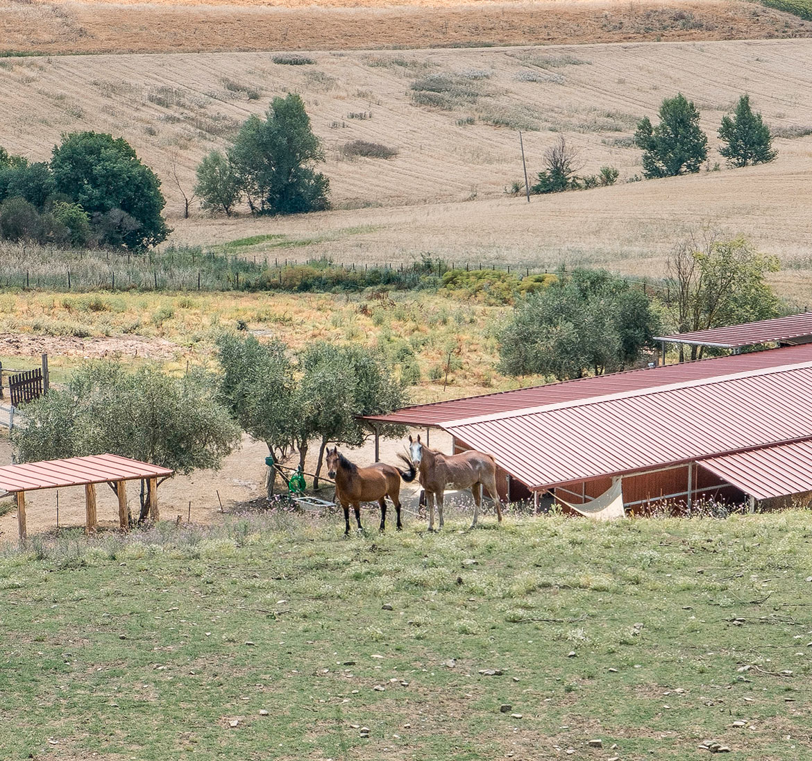 The ranch The ranch